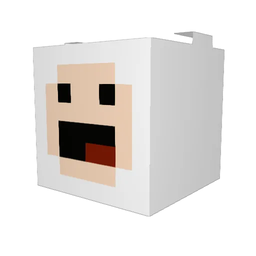 birdshit69 Minecraft avatar head, 3D render