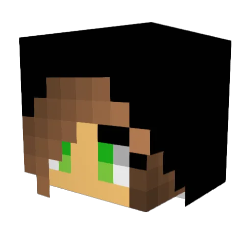 birdy076 Minecraft avatar head, 3D render