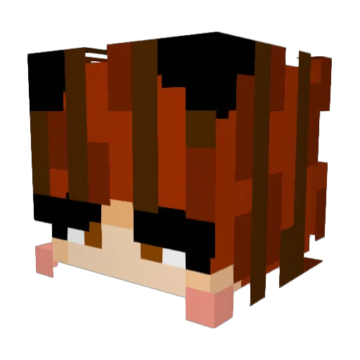 birdy_bridy Minecraft avatar head, 3D render