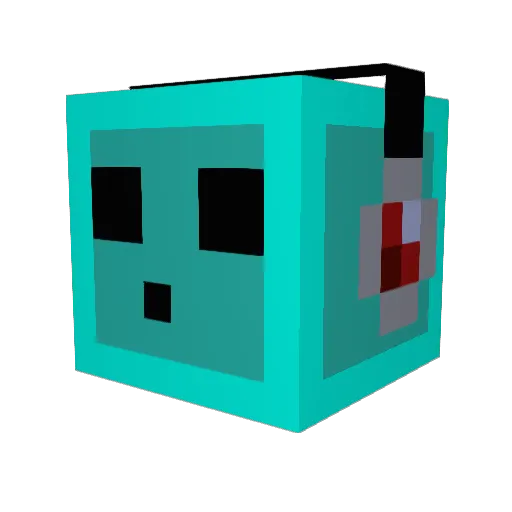 birdyboy88 Minecraft avatar head, 3D render