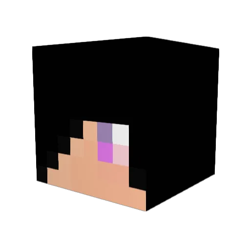 biriken2317 Minecraft avatar head, 3D render