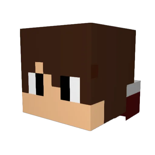 birk258 Minecraft avatar head, 3D render