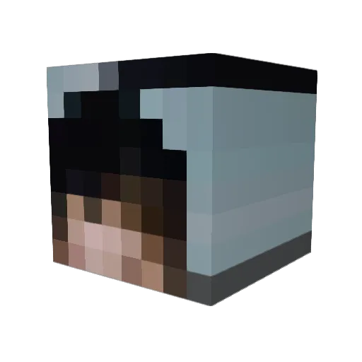 birkencybertron Minecraft avatar head, 3D render