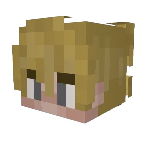 birkio Minecraft avatar head, 3D render