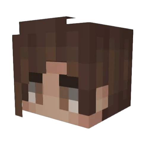 birnenbene Minecraft avatar head, 3D render