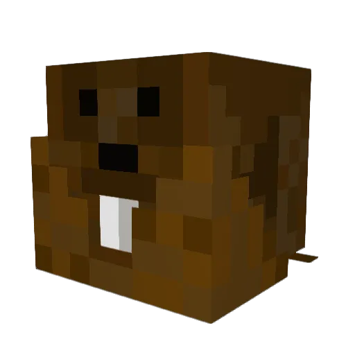 biroistired Minecraft avatar head, 3D render