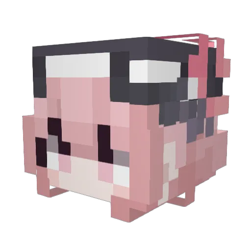 birowsi Minecraft avatar head, 3D render