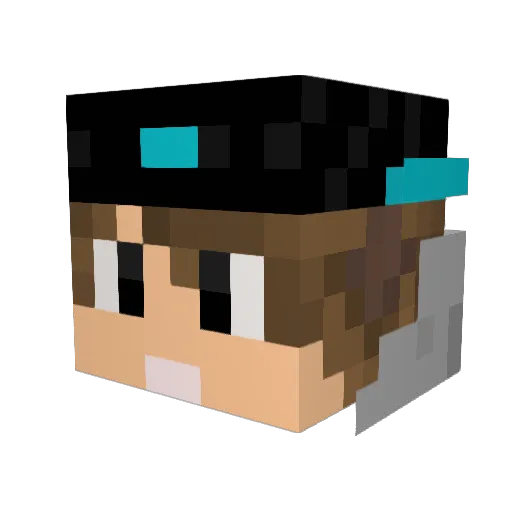 birrdypooo Minecraft avatar head, 3D render