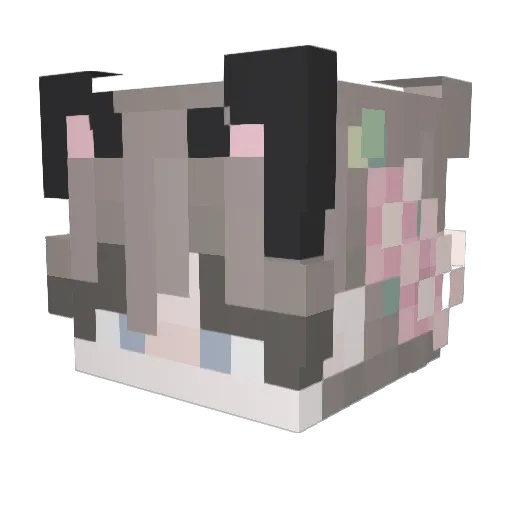 birthdayfedora Minecraft avatar head, 3D render