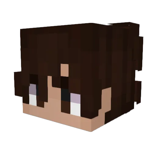 bisarro Minecraft avatar head, 3D render