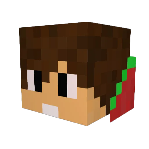 bisca00 Minecraft avatar head, 3D render