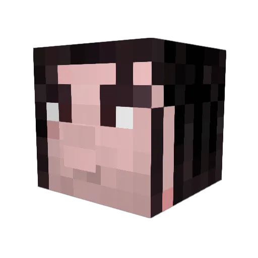biscuit95 Minecraft avatar head, 3D render