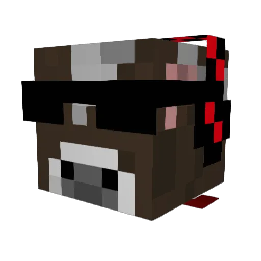 biscuitboy1211 Minecraft avatar head, 3D render