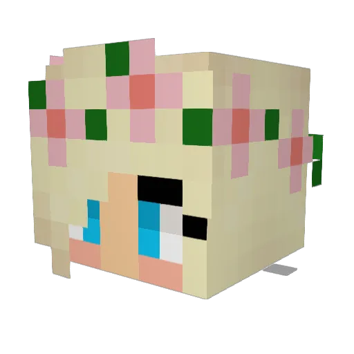 biscuitkookie Minecraft avatar head, 3D render