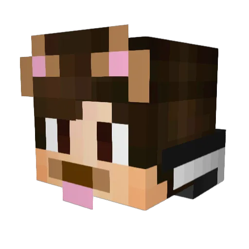 biscuitmist4947 Minecraft avatar head, 3D render