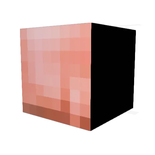 biscuitoassasino Minecraft avatar head, 3D render