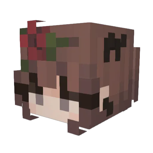 biseksualna Minecraft avatar head, 3D render