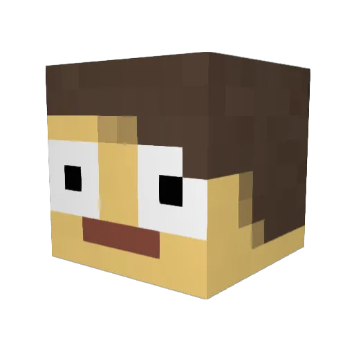bisk8 Minecraft avatar head, 3D render