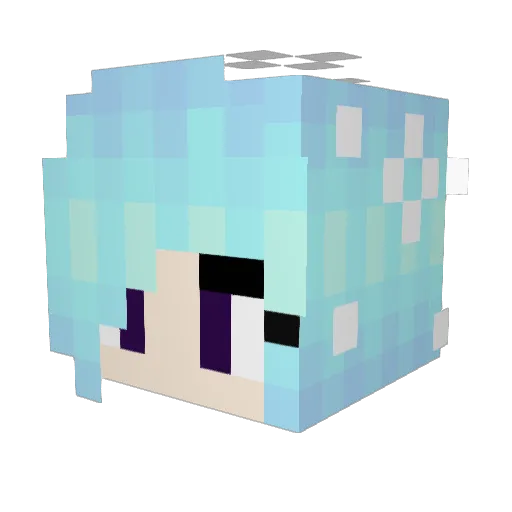 bisquick1103 Minecraft avatar head, 3D render