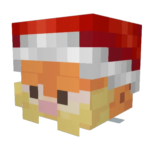 bisschenKAAAAARN Minecraft avatar head, 3D render