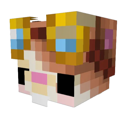 bisuketto666 Minecraft avatar head, 3D render