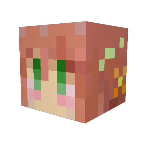 bisukoy Minecraft avatar head, 3D render