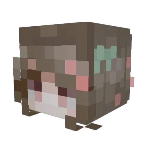 bit0fwhimsy Minecraft avatar head, 3D render