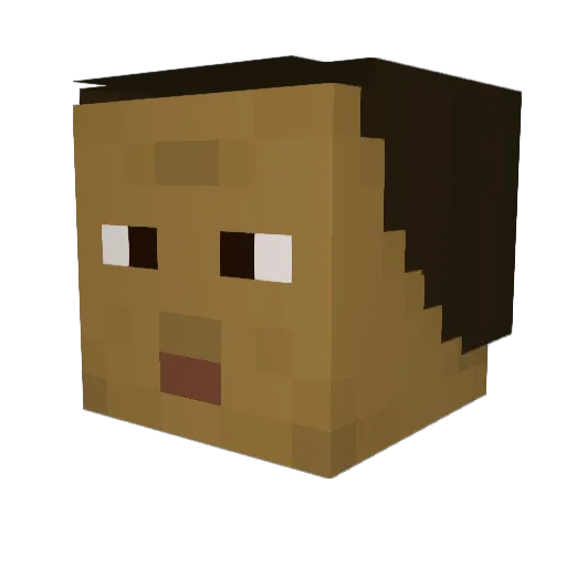 bit5 Minecraft avatar head, 3D render