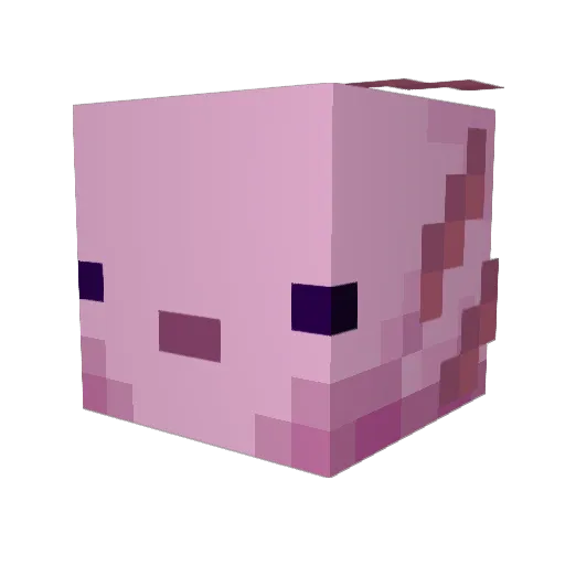 bitcoin_master Minecraft avatar head, 3D render