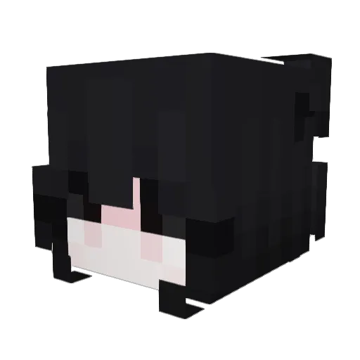bitcoinpirat Minecraft avatar head, 3D render