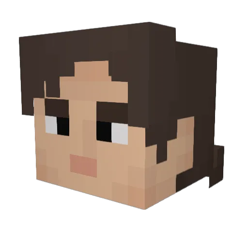 bitomfoolery Minecraft avatar head, 3D render