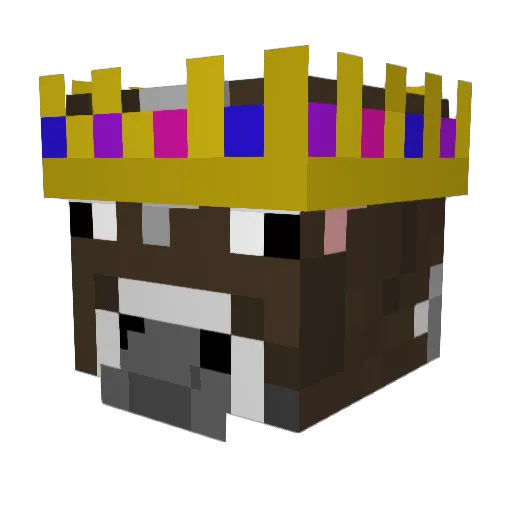 bitryx Minecraft avatar head, 3D render