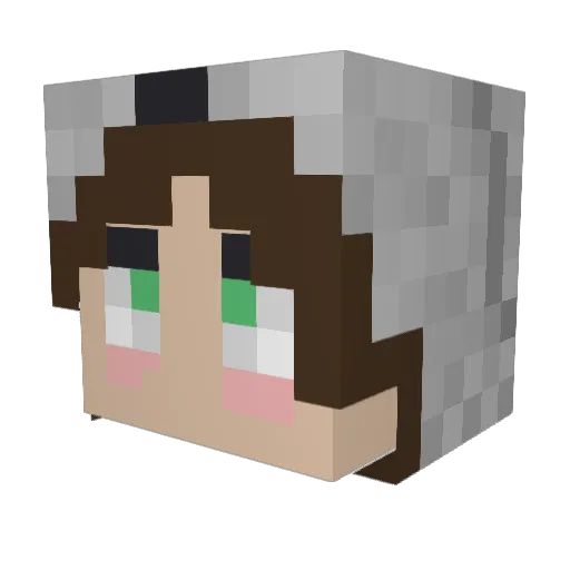 bitter_panther Minecraft avatar head, 3D render