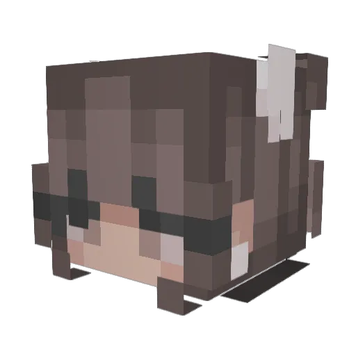 bitterlemonade Minecraft avatar head, 3D render