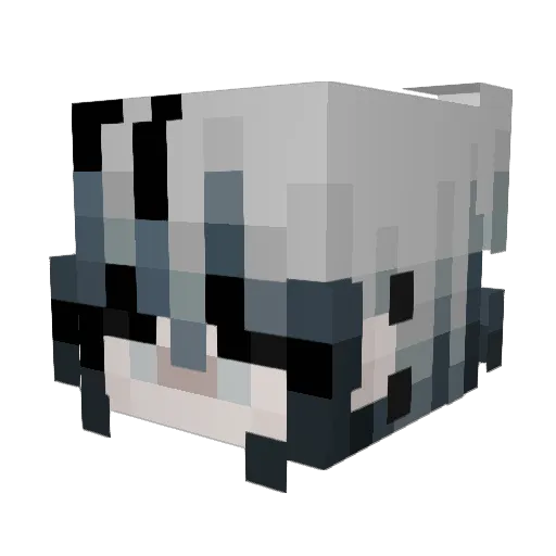 bitterm0lly Minecraft avatar head, 3D render