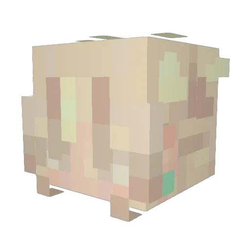 bitterwinegums Minecraft avatar head, 3D render