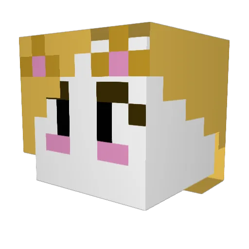 bittse Minecraft avatar head, 3D render