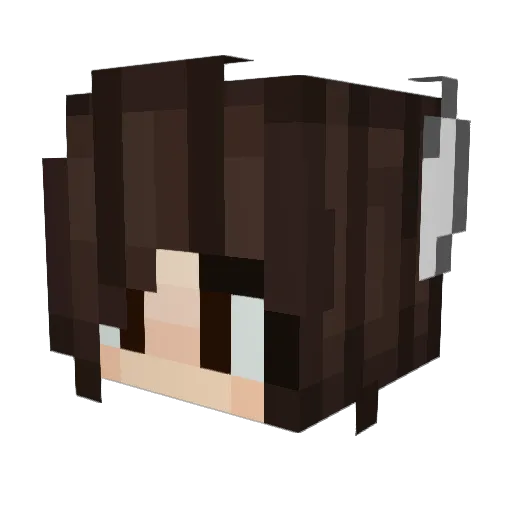 bixcoitinha Minecraft avatar head, 3D render