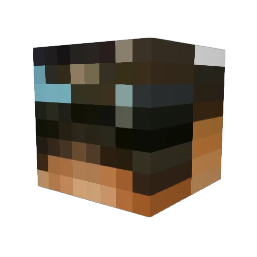 bixo_mau Minecraft avatar head, 3D render