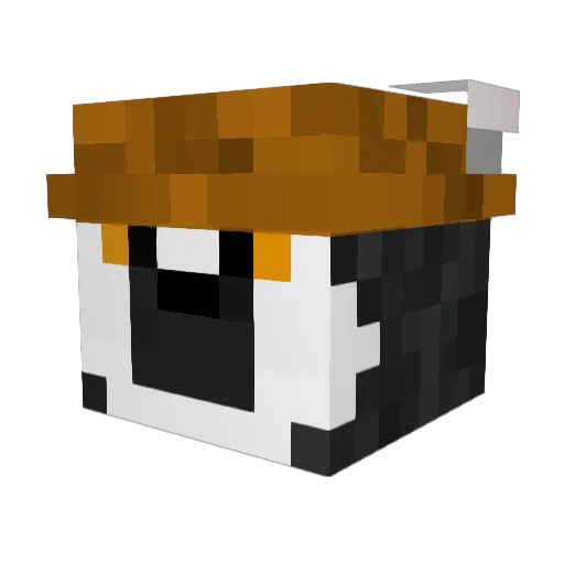 bizarre_lemur Minecraft avatar head, 3D render