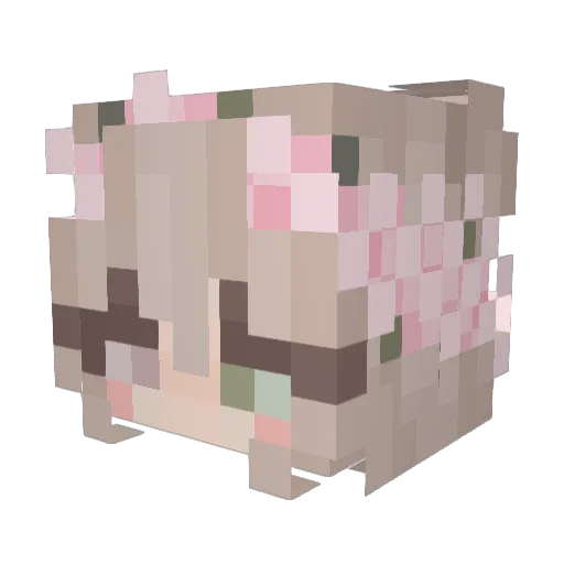 bizou Minecraft avatar head, 3D render