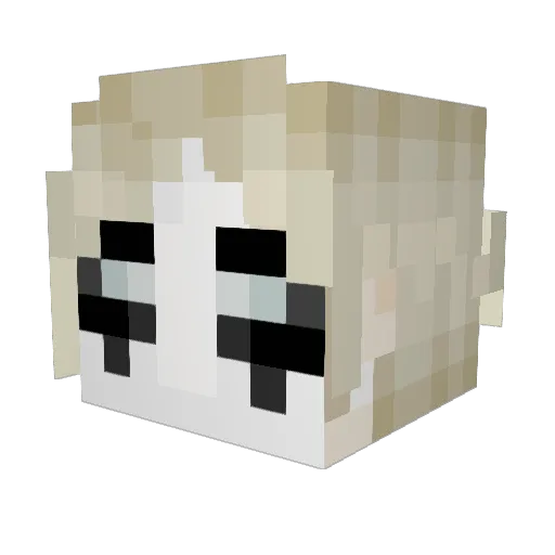 bizzareagony Minecraft avatar head, 3D render
