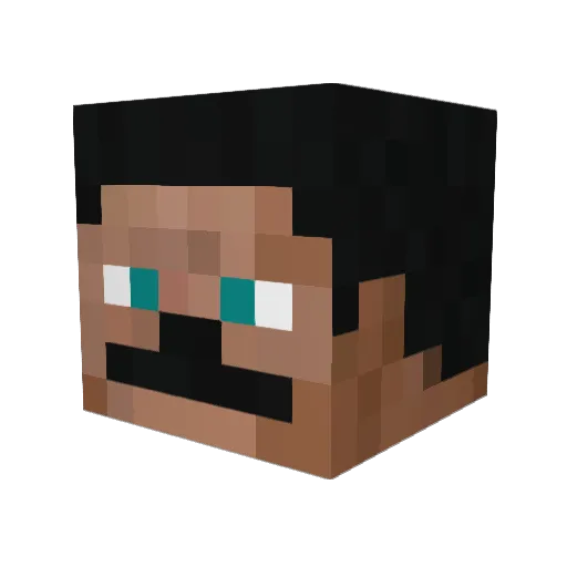 bizzle123 Minecraft avatar head, 3D render
