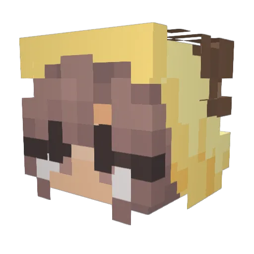 bizzle576 Minecraft avatar head, 3D render