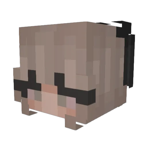bizzleems Minecraft avatar head, 3D render