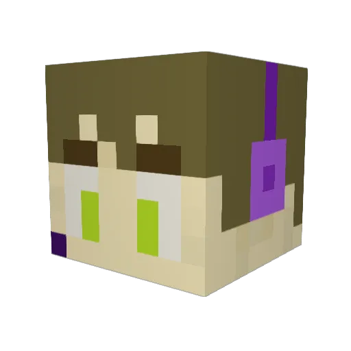 bizzlemaster Minecraft avatar head, 3D render