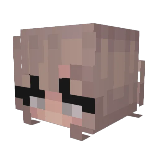 bizzythebee123 Minecraft avatar head, 3D render