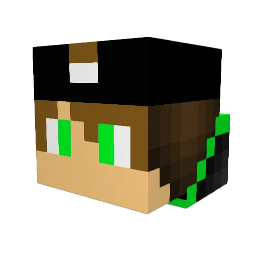 bj_2002 Minecraft avatar head, 3D render