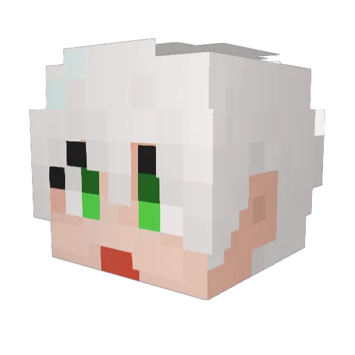 bjacau Minecraft avatar head, 3D render