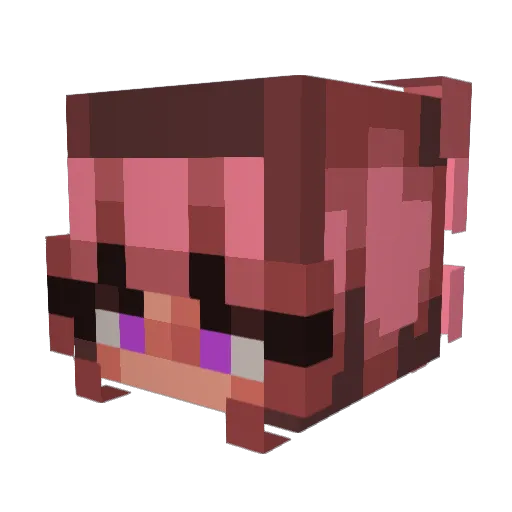 bjamieson177 Minecraft avatar head, 3D render